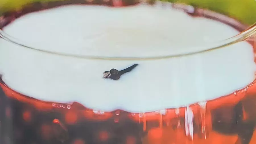 Sagu ao vinho tinto com creme de baunilha